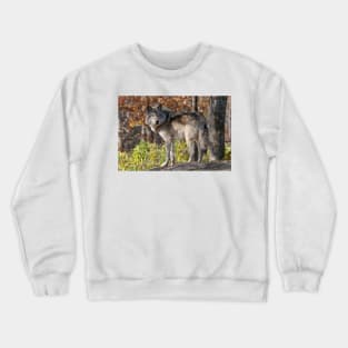 Timber Wolf Crewneck Sweatshirt